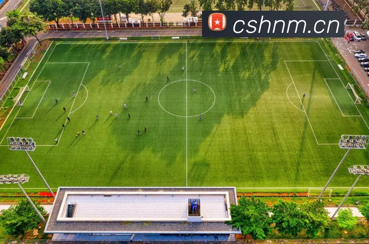 多媒体互动体验